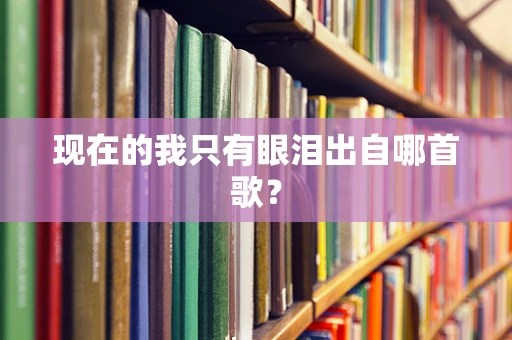 现在的我只有眼泪出自哪首歌？