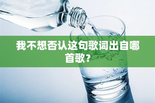 我不想否认这句歌词出自哪首歌？
