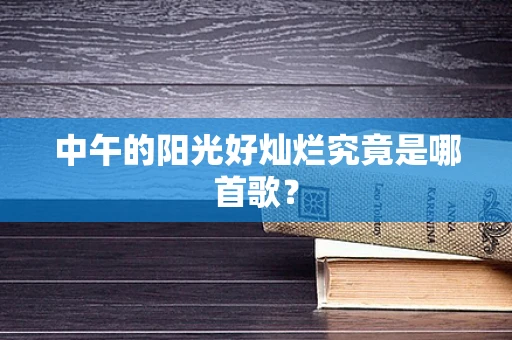 中午的阳光好灿烂究竟是哪首歌？