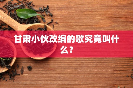 甘肃小伙改编的歌究竟叫什么？