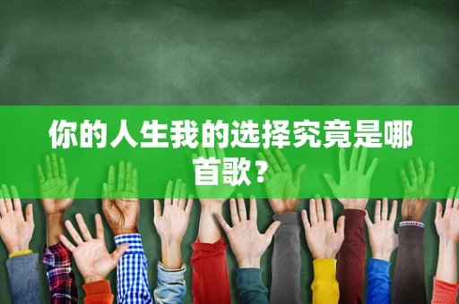 你的人生我的选择究竟是哪首歌？