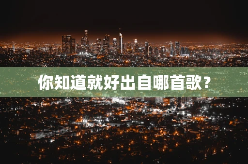 你知道就好出自哪首歌？