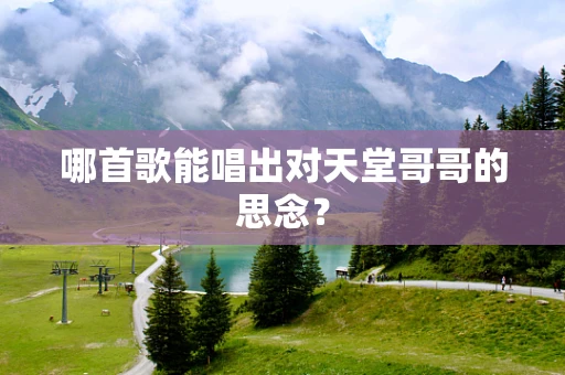 哪首歌能唱出对天堂哥哥的思念？