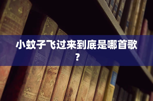 小蚊子飞过来到底是哪首歌？