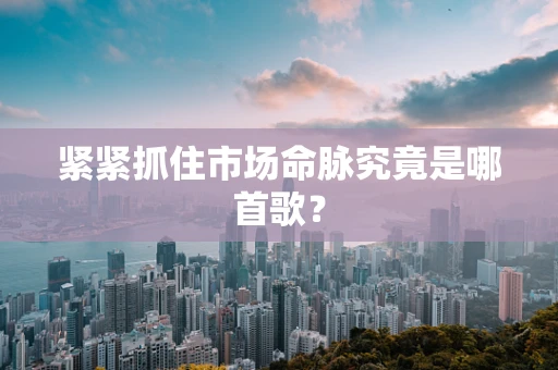 紧紧抓住市场命脉究竟是哪首歌？