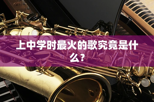 上中学时最火的歌究竟是什么？