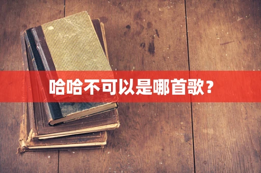 哈哈不可以是哪首歌？