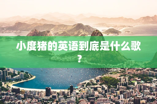 小度猪的英语到底是什么歌？