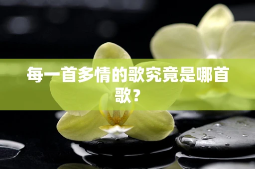 每一首多情的歌究竟是哪首歌？