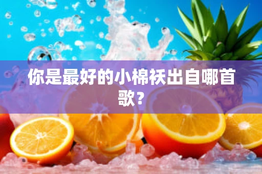 你是最好的小棉袄出自哪首歌？