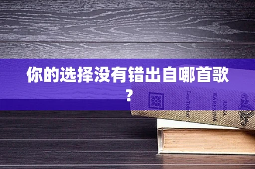 你的选择没有错出自哪首歌？