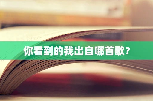 你看到的我出自哪首歌？