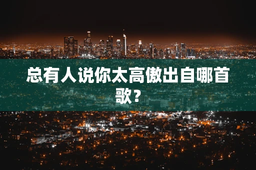 总有人说你太高傲出自哪首歌？