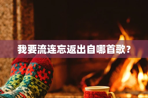 我要流连忘返出自哪首歌？