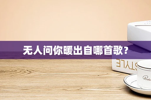 无人问你暖出自哪首歌？