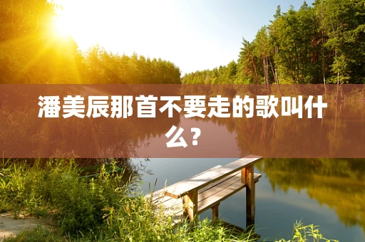 潘美辰那首不要走的歌叫什么？