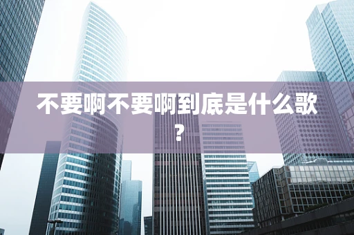 不要啊不要啊到底是什么歌？