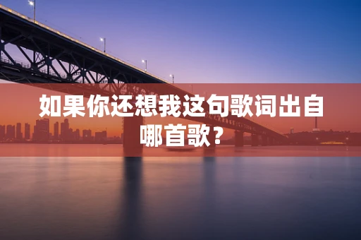 如果你还想我这句歌词出自哪首歌？