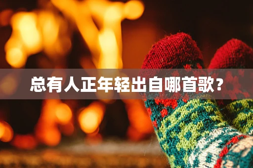 总有人正年轻出自哪首歌？