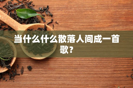 当什么什么散落人间成一首歌？