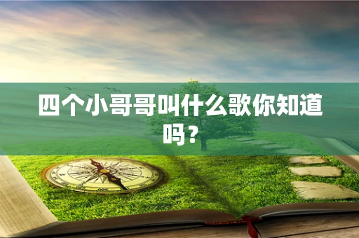 四个小哥哥叫什么歌你知道吗？