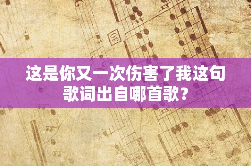 这是你又一次伤害了我这句歌词出自哪首歌？