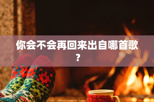 你会不会再回来出自哪首歌？