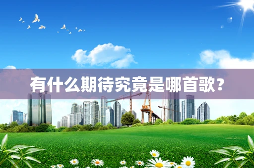 有什么期待究竟是哪首歌？