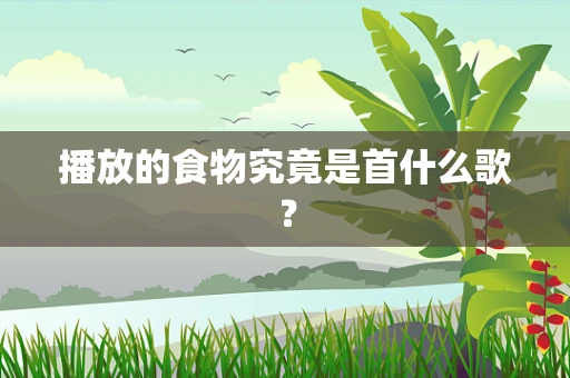 播放的食物究竟是首什么歌？