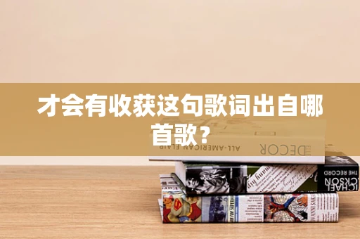 才会有收获这句歌词出自哪首歌？
