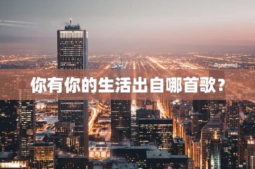 你有你的生活出自哪首歌？