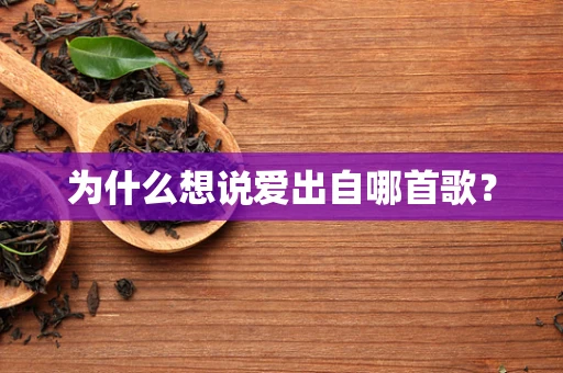 为什么想说爱出自哪首歌？