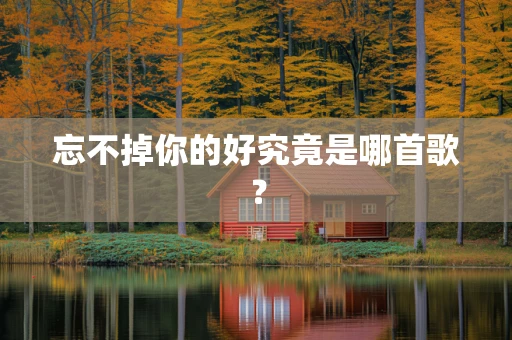 忘不掉你的好究竟是哪首歌？
