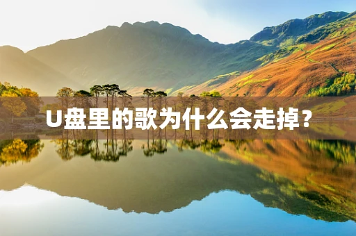 U盘里的歌为什么会走掉？