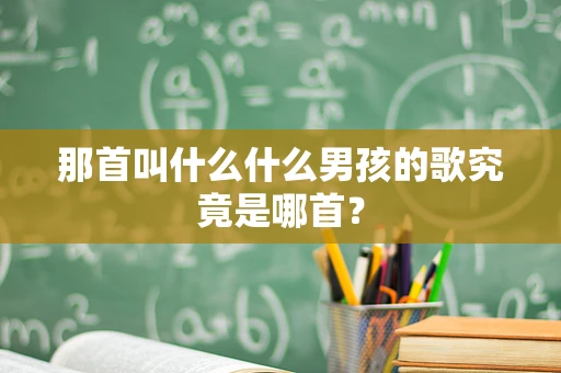 那首叫什么什么男孩的歌究竟是哪首？