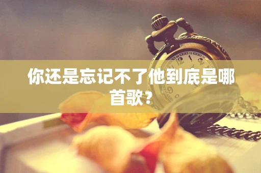 你还是忘记不了他到底是哪首歌？
