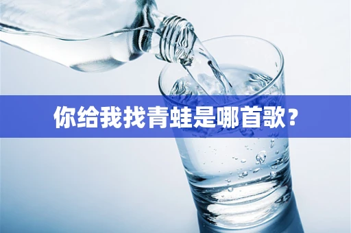 你给我找青蛙是哪首歌？
