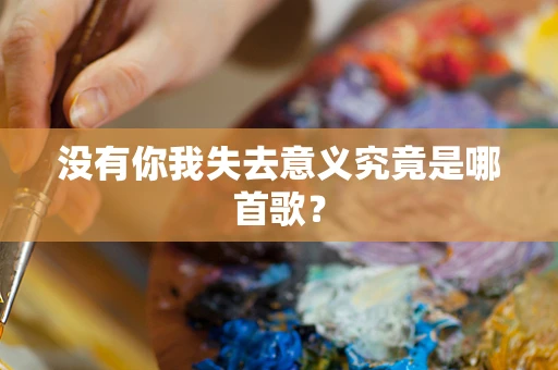 没有你我失去意义究竟是哪首歌？