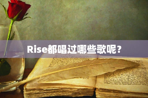 Rise都唱过哪些歌呢？