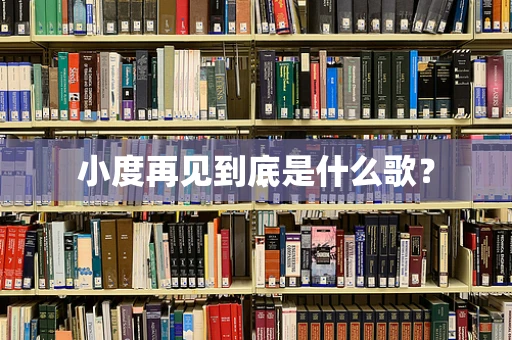 小度再见到底是什么歌？