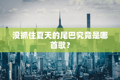 没抓住夏天的尾巴究竟是哪首歌？