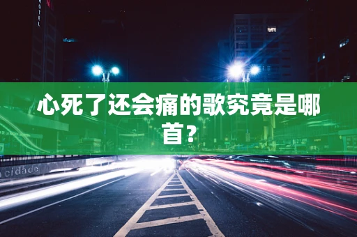 心死了还会痛的歌究竟是哪首？