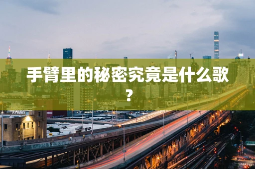手臂里的秘密究竟是什么歌？