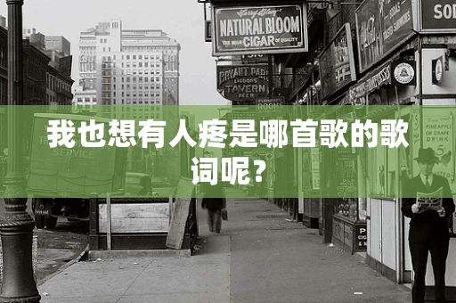 我也想有人疼是哪首歌的歌词呢？