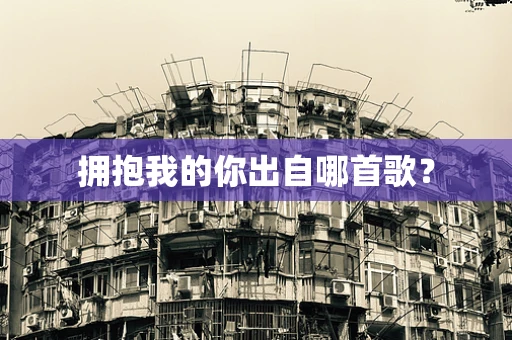 拥抱我的你出自哪首歌？