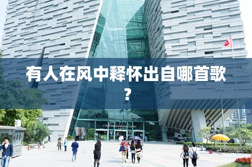 有人在风中释怀出自哪首歌？