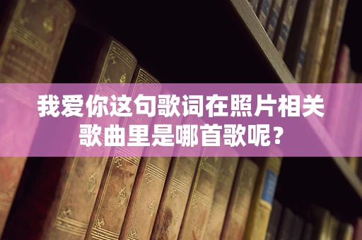 我爱你这句歌词在照片相关歌曲里是哪首歌呢？