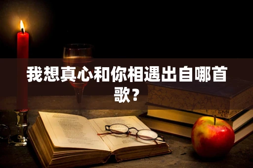 我想真心和你相遇出自哪首歌？