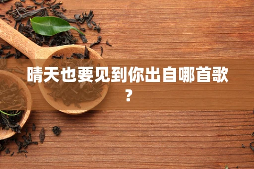 晴天也要见到你出自哪首歌？