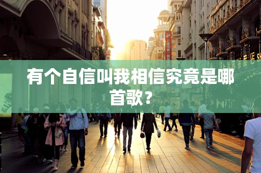 有个自信叫我相信究竟是哪首歌？